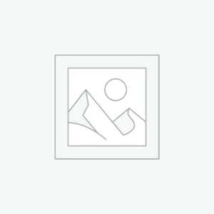 Briggs & Stratton Servicekit (Model 31/ 4-Serie)