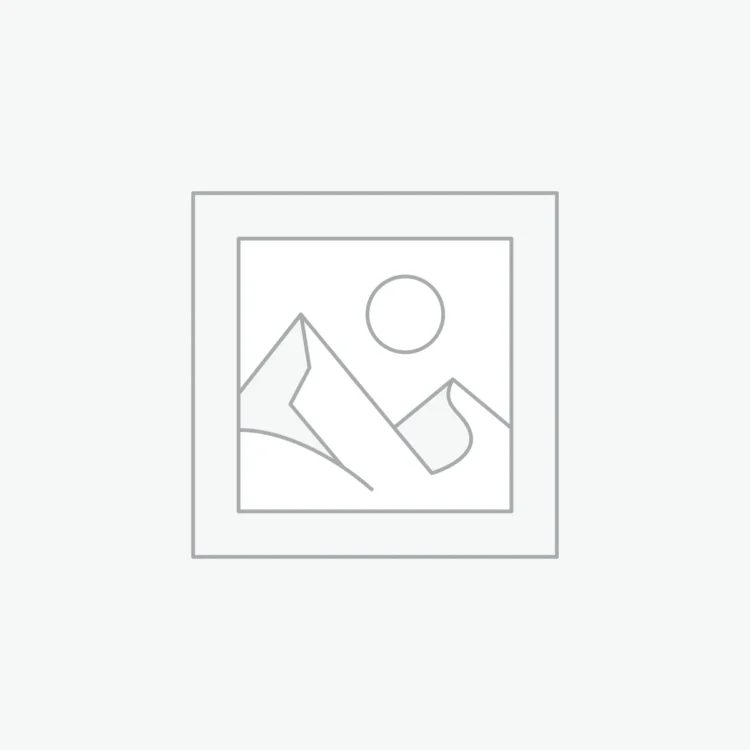 B&S Servicekit (450E, 500E)